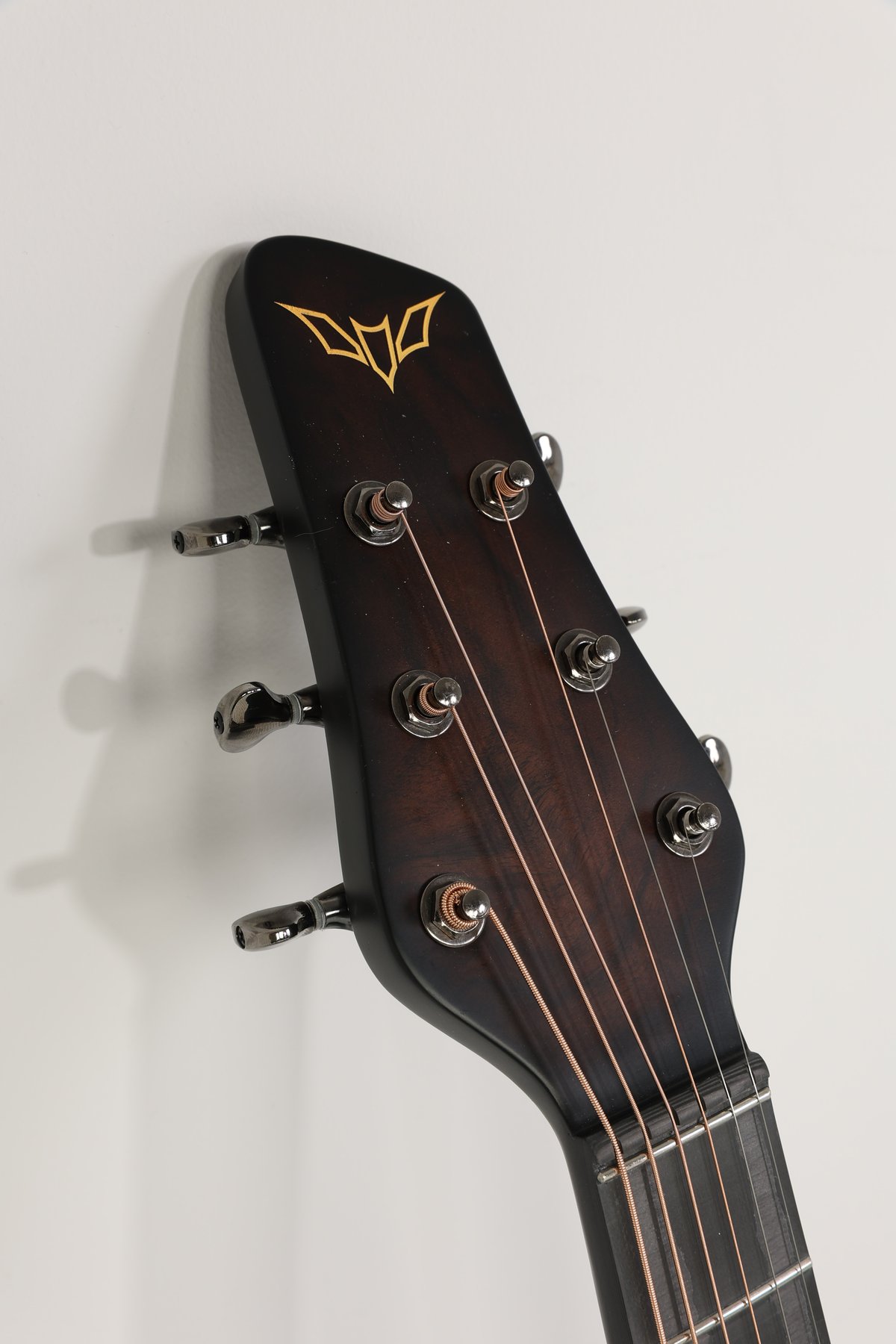 Real carbon fiber guitar 41